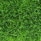 X-Fjern naturflekker