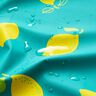 Regnjackstyg citroner – pepparmynta/citrongul,  thumbnail number 6