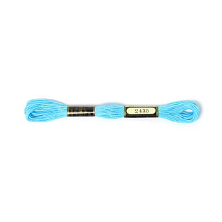 Broderigarn Metis 2435 | DMC 3846, 