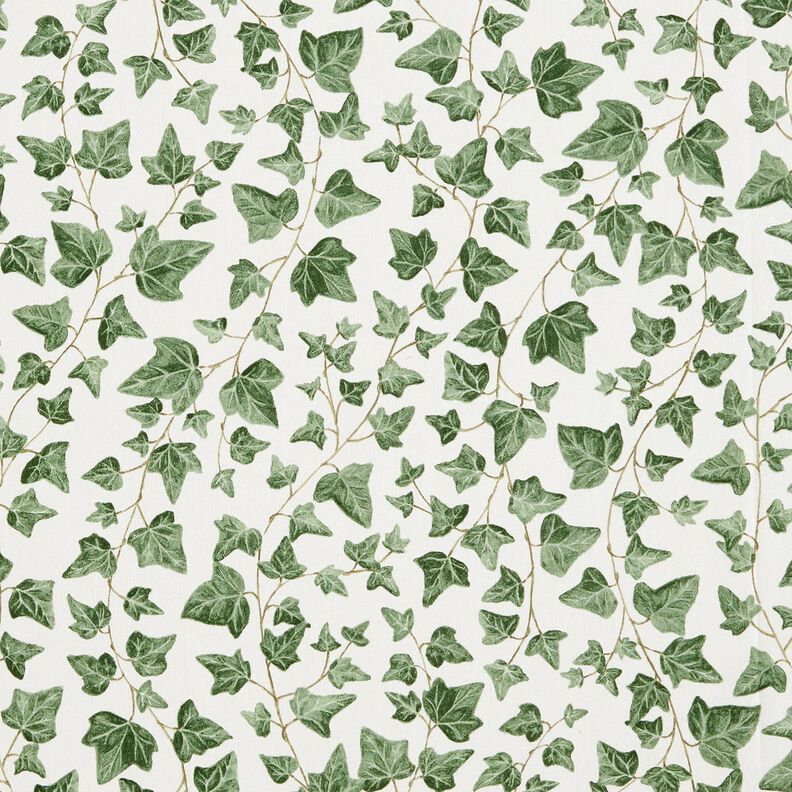 Dekorationstyg Halvpanama klättrande murgröna – vit/grön,  image number 1