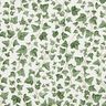 Dekorationstyg Halvpanama klättrande murgröna – vit/grön,  thumbnail number 1