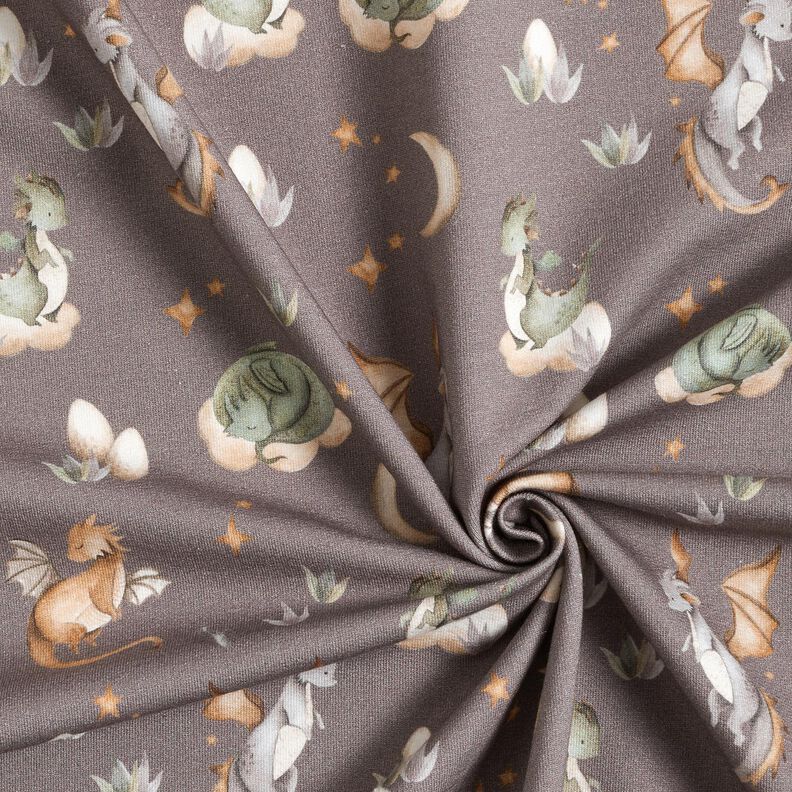 French Terry Sommarsweat söta drakar Digitaltryck – mörk gråbrun,  image number 3