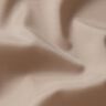 cashew