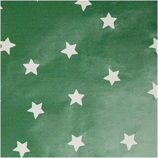 Presentpapper Stjärnor | Rico Design – grön, 