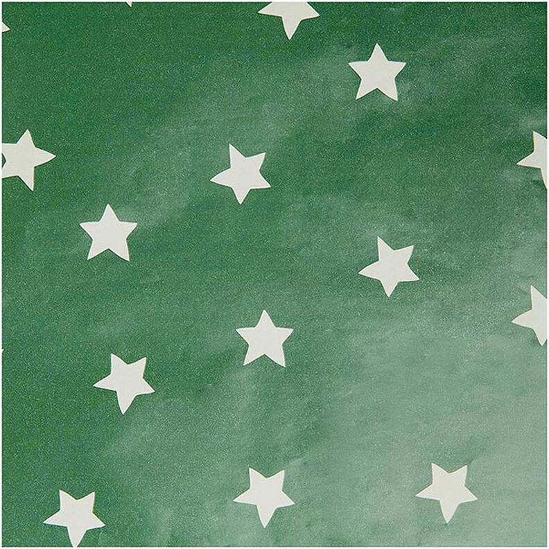 Presentpapper Stjärnor | Rico Design – grön,  image number 1