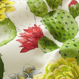 dekorationstyg Canvas kaktusar – natur/grön, 