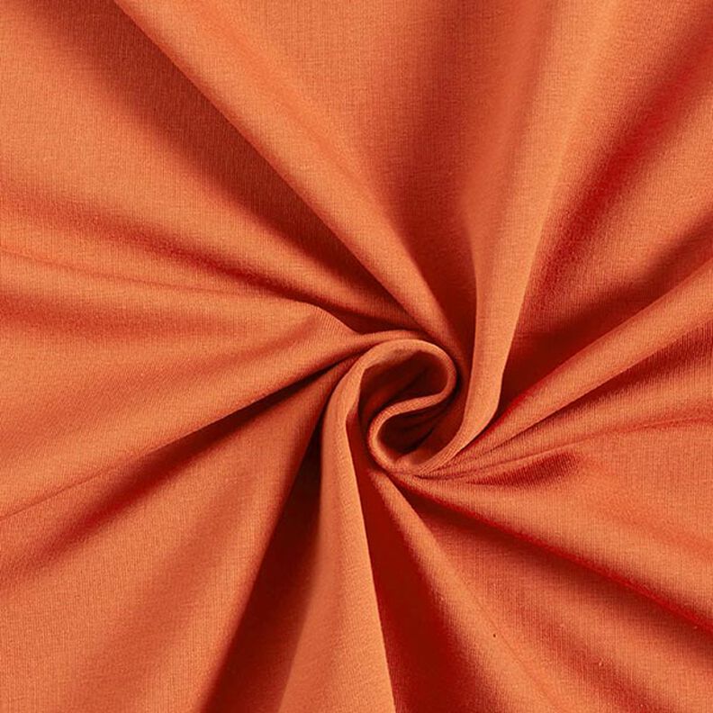 L&auml;tt french terry enf&auml;rgad &ndash; r&aring;djursbrun,  image number 1