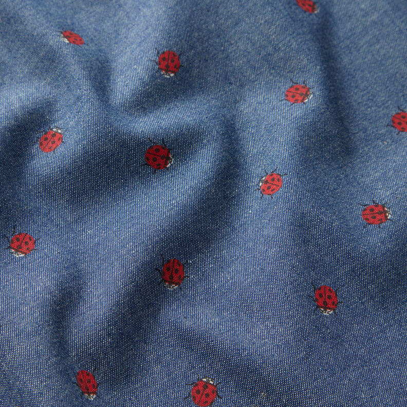 Chambray nyckelpiga – jeansblå,  image number 2