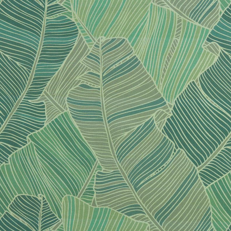 Outdoortyg Canvas Bladlinjer – grön,  image number 1