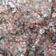 Chiffong plissé spridda blommor – marinblått,  thumbnail number 2