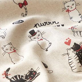 Halvpanama i linneoptik Cats in love – natur, 