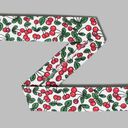 Snedband Fruit 1, 