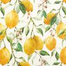 Outdoortyg Canvas citroner – elfenbensvit/citrongul,  thumbnail number 1