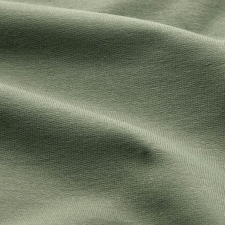 Sweatshirt Ruggad Premium – mörk furu,  image number 2