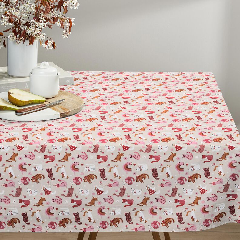 Behandlad bomull lekfulla kattungar – rose, image number 7