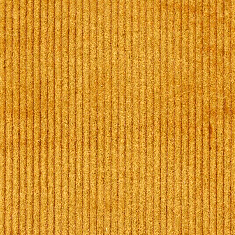 Breitcord Stretch – currygul,  image number 4