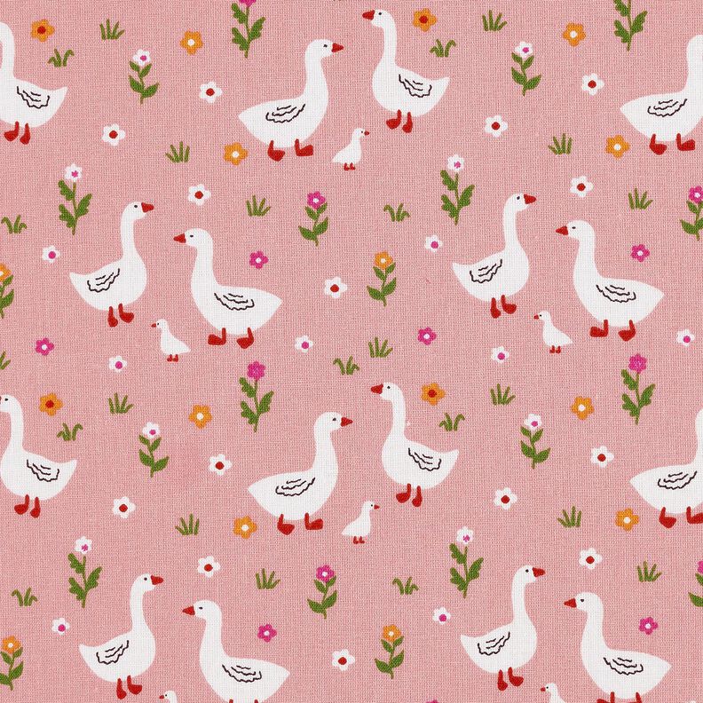 Bomullspoplin Gäss på ängen – rosa,  image number 1
