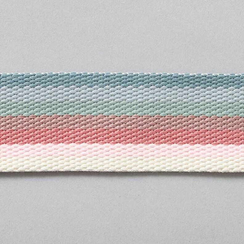 Flerfärgat bältesband Regnbåge [40mm],  image number 1