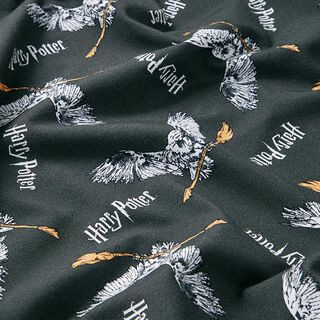 Bomullsjersey Licenstyg Harry Potter, Hedwig med en kvast | Warner Bros. – skiffergrått, 