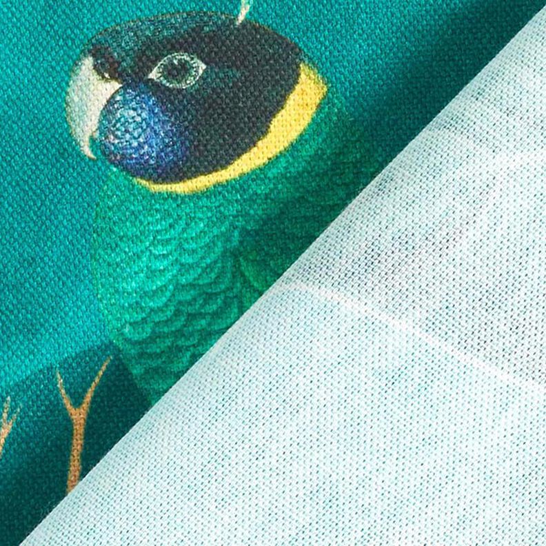 Dekorationstyg Canvas Paradisfåglar – mörkgrön,  image number 4