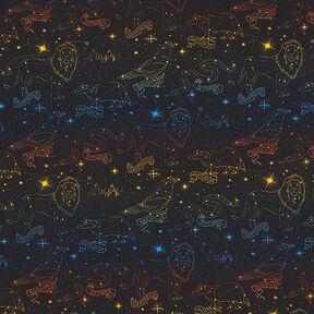 Bomullsjersey Licenstyg Heraldiska djur Stjärnbilder Harry Potter | Warner Bros. – svart, 
