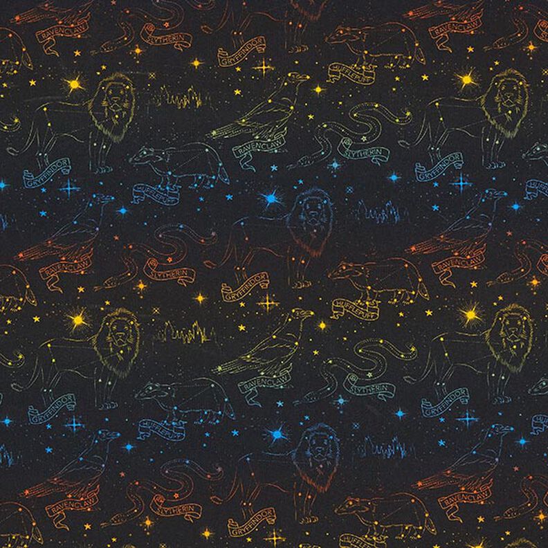 Bomullsjersey Licenstyg Heraldiska djur Stjärnbilder Harry Potter | Warner Bros. – svart,  image number 1