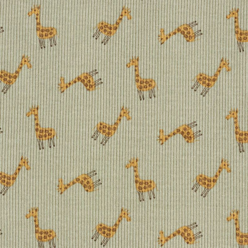 Ribbad jersey Söta giraffer – khaki,  image number 1