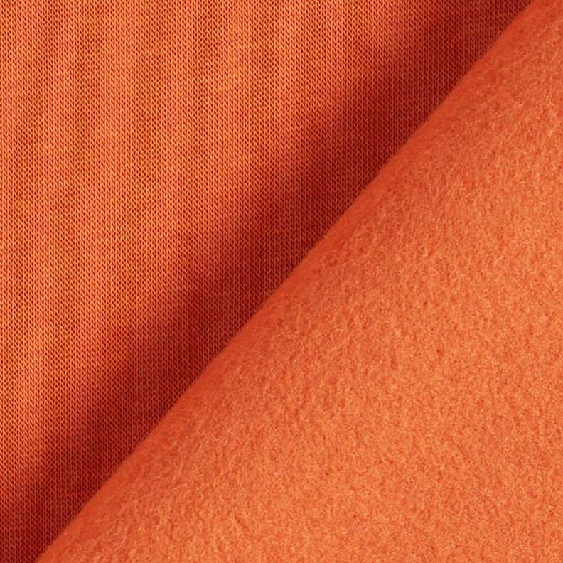Sweatshirt Ruggad – terracotta,  image number 5