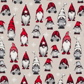 French Terry Sommarsweat Julnissar – ljus gråbrun, 