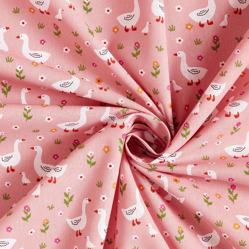 Bomullspoplin Gäss på ängen – rosa,  image number 3