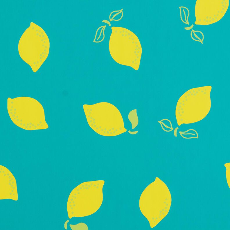 Regnjackstyg citroner – pepparmynta/citrongul,  image number 1