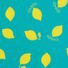 Regnjackstyg citroner – pepparmynta/citrongul,  thumbnail number 1