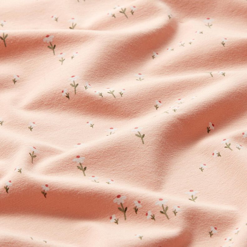 Bomullsjersey prästkrageäng – rose,  image number 2
