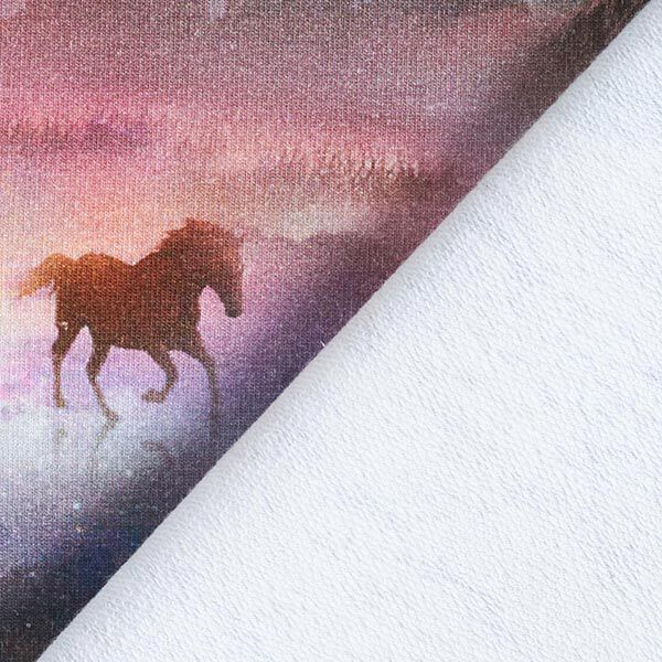 French Terry Sommarsweat mystiska hästar Digitaltryck – pastellviolett,  image number 5
