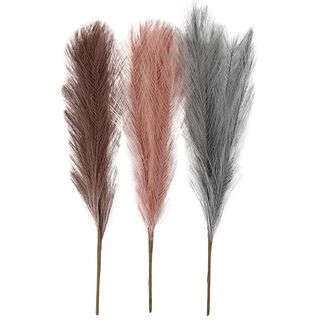 Pampasgräs, 50cm [3st.] – gammalt rosa/grått, 