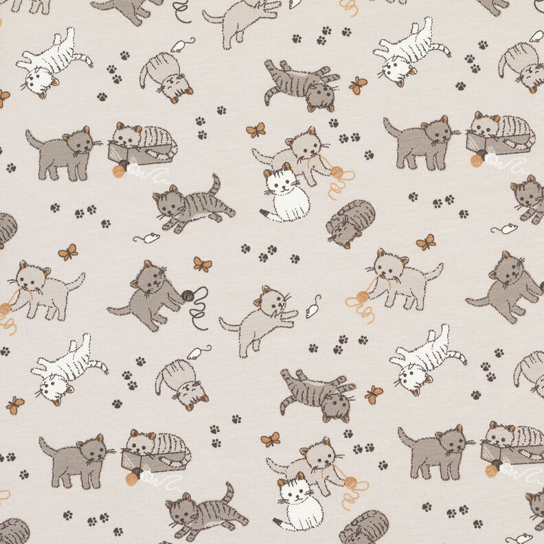 Bomullsjersey söta katter – dimgrå,  image number 1