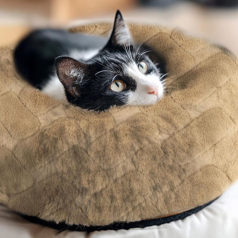 Fuskpäls abstrakt – sand,  image number 5