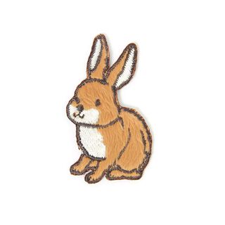 Applikation Liten hare, 