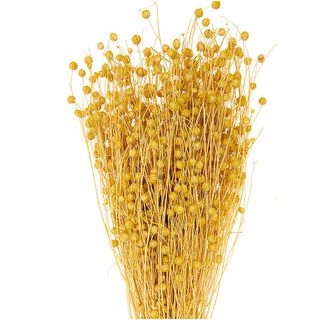 Torkat lin [ 100 g ] | Rico Design – gul, 