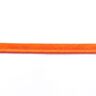 Neon Passpoal – neonorange,  thumbnail number 1
