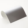silvermetallic
