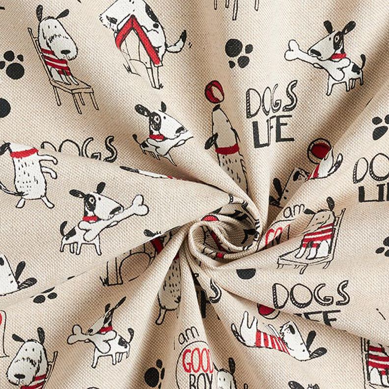 Halvpanama i linneoptik Dogs Life – natur, image number 3
