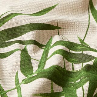 Halvpanama i linneoptik Blad – natur, 