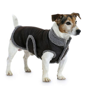 Hundkappa, Burda 7752, 