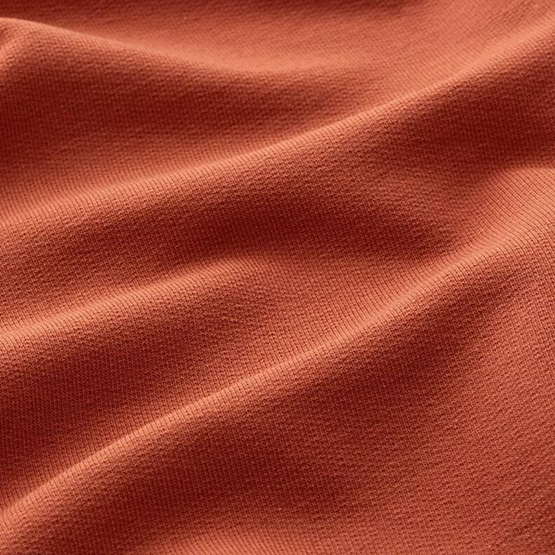Lätt french terry enfärgad – terracotta, image number 4