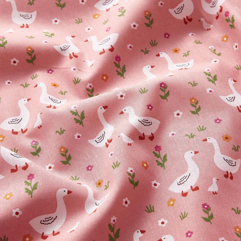 Bomullspoplin Gäss på ängen – rosa,  image number 2