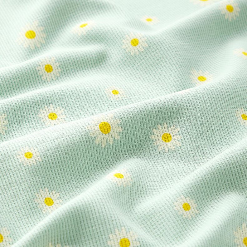 Våffeljersey prästkragar – ljus mint, image number 2