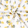 Bomullsjersey Stora citroner – elfenbensvit/guld,  thumbnail number 3