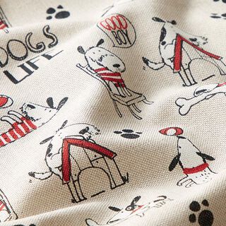 Halvpanama i linneoptik Dogs Life – natur, 