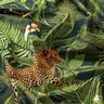 Dekorationssammet Djungel leopard – grön,  thumbnail number 2